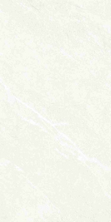 Dhara White Matte 24 x 48